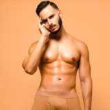 stallionfabio