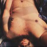 the_naked_director